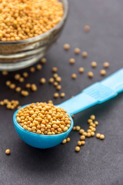 Common Yellow Mustard Seed